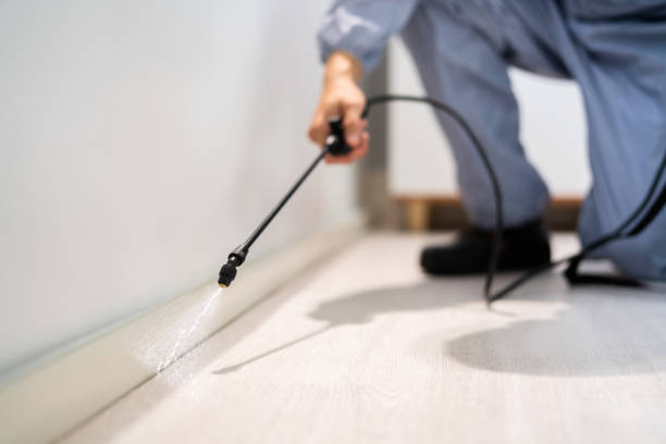 Licensed Fumigation Services service in Key Center, WA - Nex Pest Control