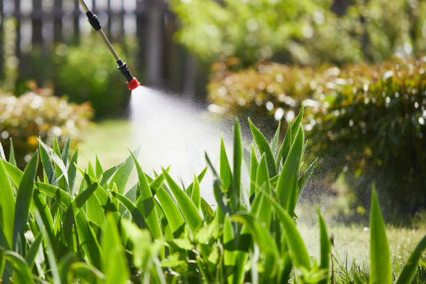 24/7 Emergency Fumigation Services experts in Key Center, WA
