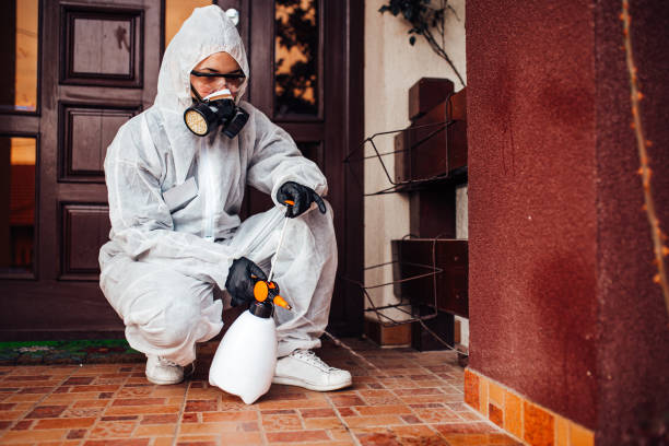 Reliable Fumigation Services contractor in Key Center, WA by Nex Pest Control